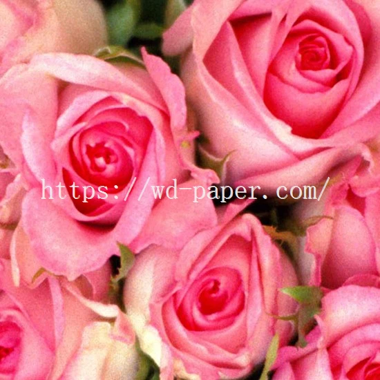 Valentine cocktail napkins